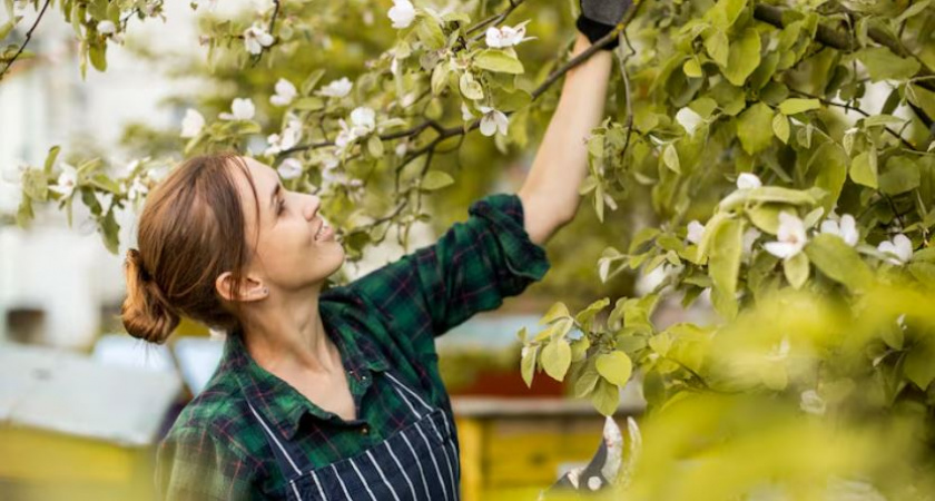 Забудьте о покупной побелке: самодельный состав с «Белизной» защищает и заживляет деревья до следующей весны