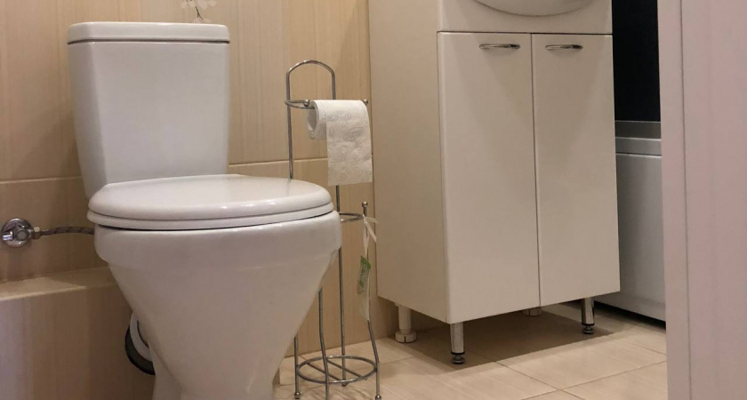 После одного случая всегда опускаю крышку унитаза и вам советую: почему нельзя оставлять "белого друга" открытым