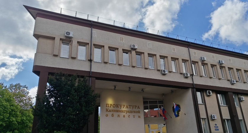 Прокуратура Калининградской области закрыла дело о нападении на 13-летнего мальчика