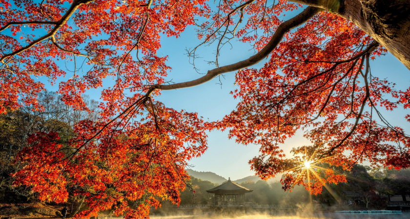 Не спорь и не трать деньги — сделай уборку: народные приметы и запреты на 2 ноября, Артемьев день