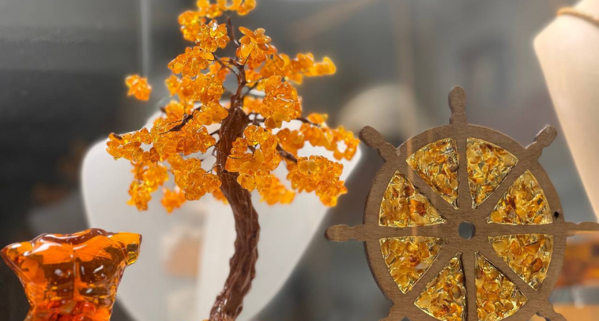 Бой за янтарь в Калининграде: бывшая невестка сломала позвоночник свекрови и забрала товар