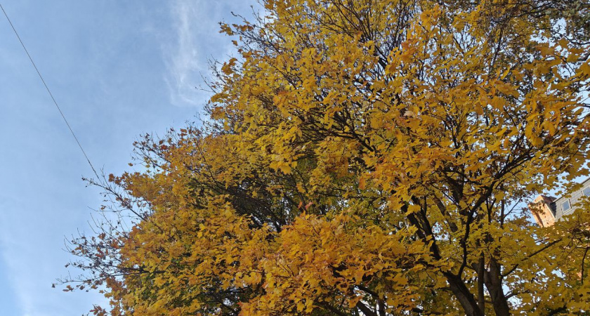 Погода в Калининградской области 2 ноября: облачно и дождливо — что нужно знать перед выходом