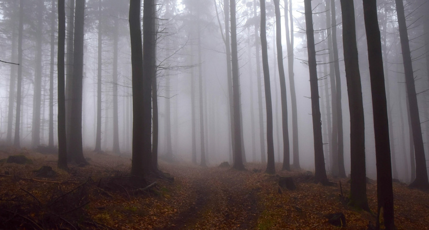 Что нельзя делать 3 ноября, чтобы не накликать беду: народные приметы и тайны Иларионова дня