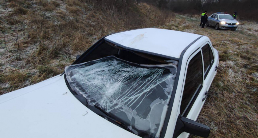 В Калининградской области — громкое ДТП: велосипедист погиб, водитель отрицает вину