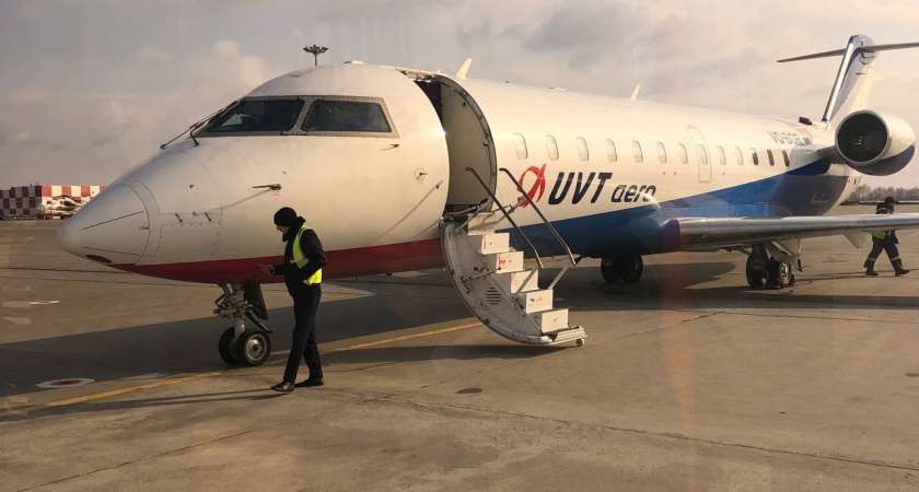 В Калининградской области самолеты, летящие над Куршской косой рискуют столкнуться с птицами, предупреждают орнитологи