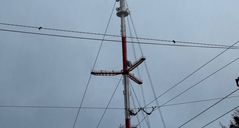 Телебашня в Калининграде засияет триколором: в какие часы ждать светового праздника  