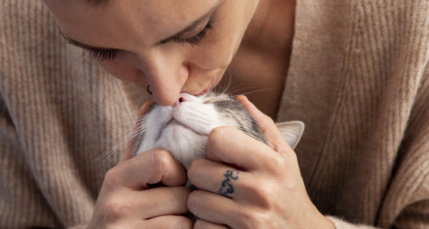 Ученые нашли только 1 «место для поцелуев» пушистика: где кошке приятно, а вам — безопасно