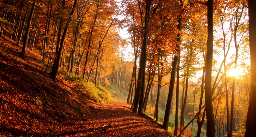 Не поднимай шум — впусти свет: что можно и нельзя делать по народным приметам 6 ноября на Светец