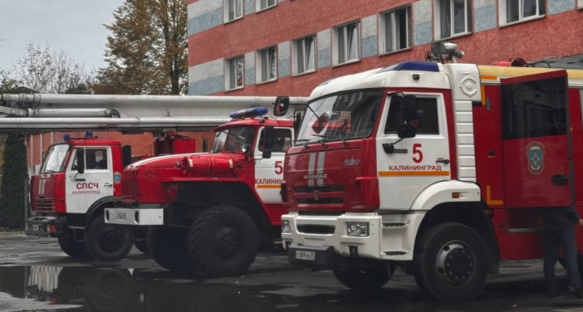 Калининградские спасатели за ночь ликвидировали два опасных пожара и вытащили собаку из пламени
