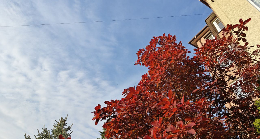 Погода в Калининграде и области 6 ноября: дождь или солнце — что ожидает жителей