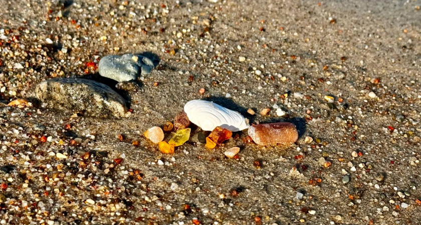 Калининградский янтарный комбинат установил рекорд: 700 тонн солнечного камня — сезон еще не завершен