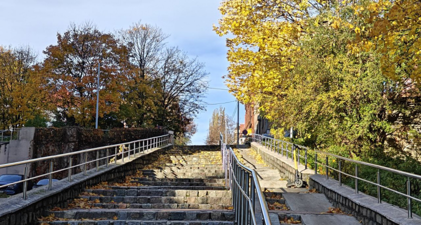 Ноябрь удивит Калининград погодой: синоптики рассказали каких аномалий ждать в последний месяц осени