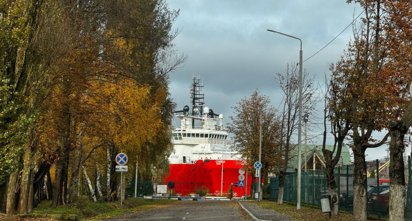 Погода в Калининграде на 7 ноября: солнце заглянет не ко всем — вот где будет светло