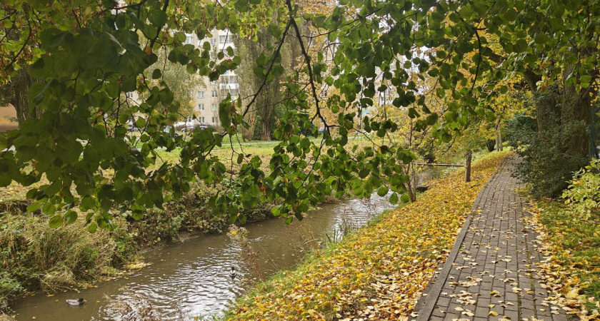 Погода в Калининграде 7 ноября: синоптики обещают редкий ноябрьский подарок