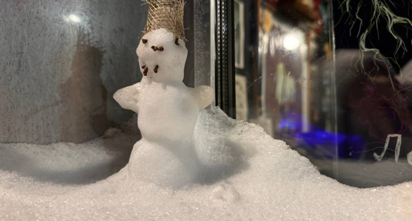 Какая будет зима 2025-2026 в России: синоптики рассказали к каким сюрпризам готовиться