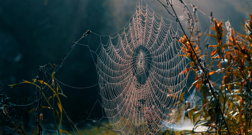 Не ссорься, делай добро: народные приметы на 9 ноября, Зарок на Параскеву