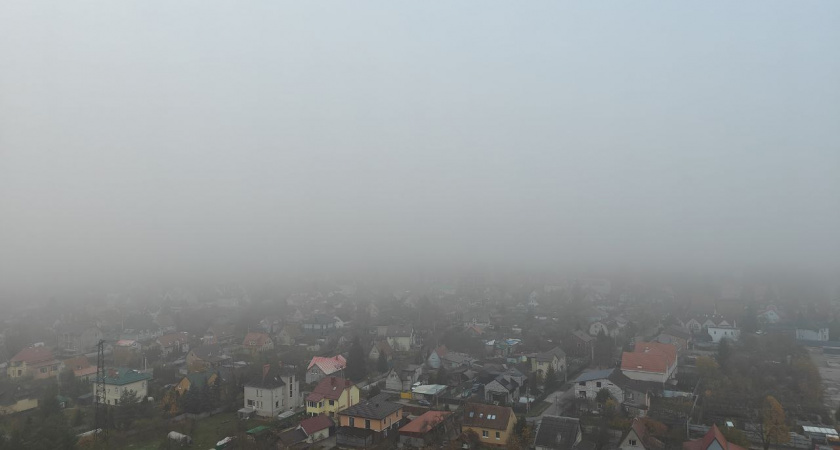 Калининградскую область накроет плотным туманом: водителей просят быть предельно внимательными