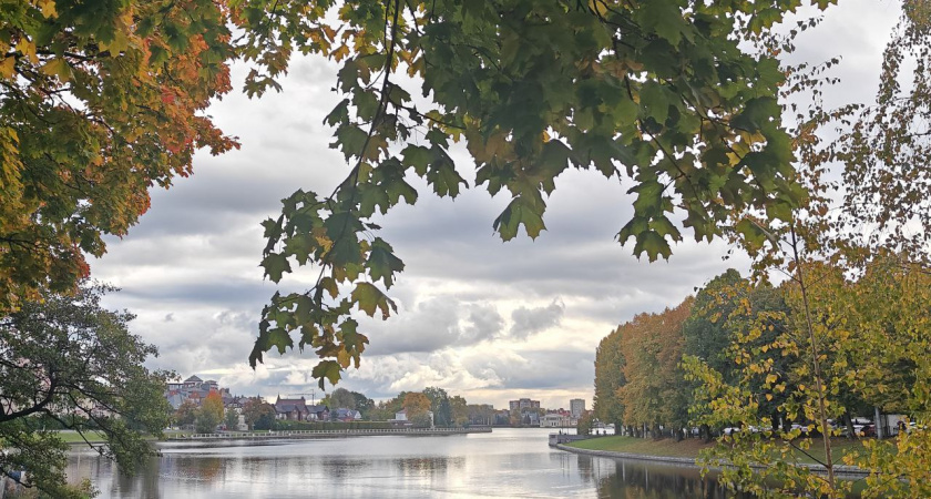 Калининград накроет ноябрьская сырость — синоптики рассказали, когда появится солнце