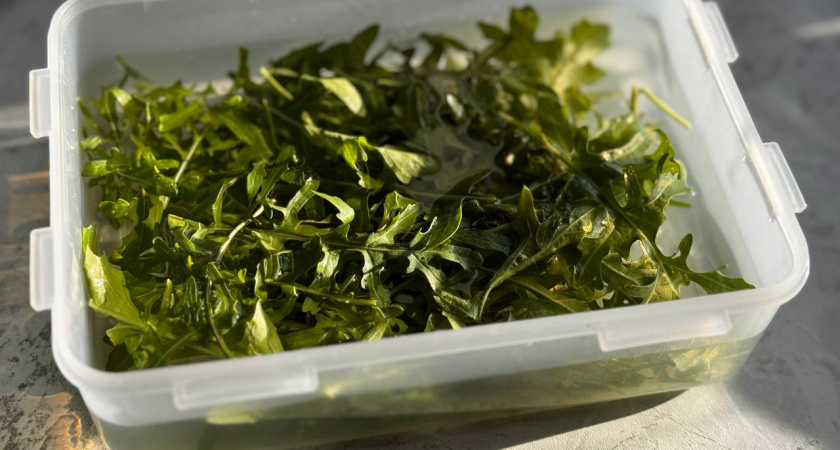 Выращиваем зелень у окна: главные условия, секреты и ошибки начинающих 