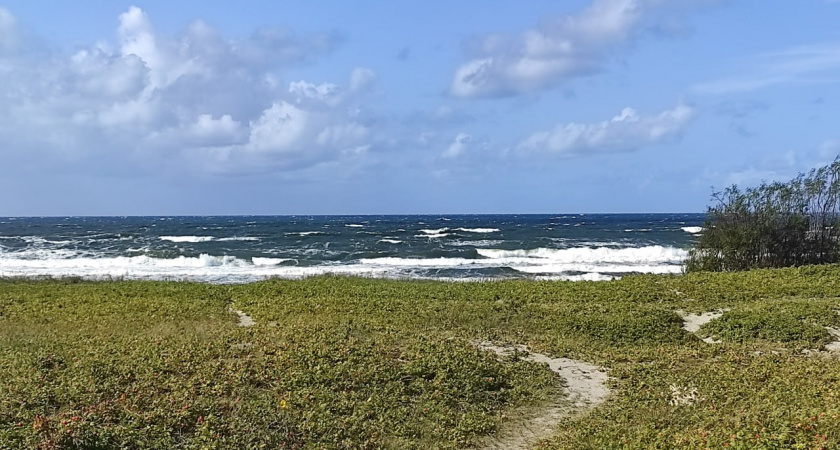 У берегов Балтийска заметили кита — моряки сняли редкое видео