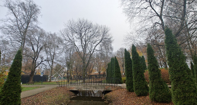 Погодная ловушка для Калининградской области: синоптики рассказали, какой будет погода в понедельник, 10 ноября