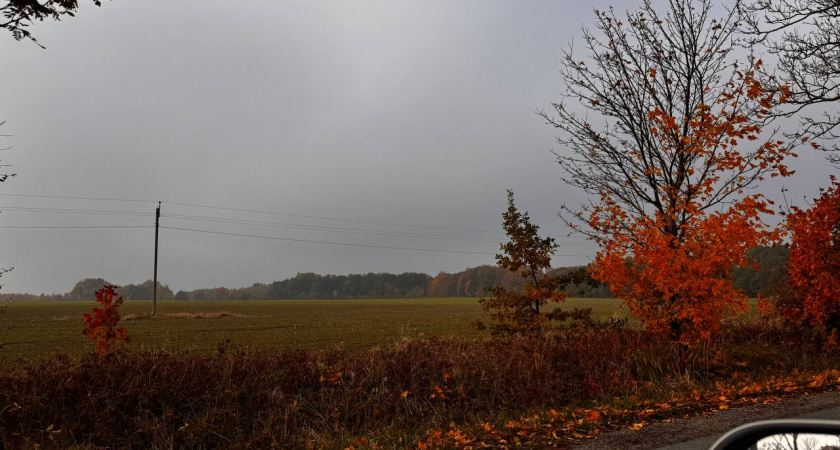 Надвигается перелом: Калининградская область на грани погодного скачка — что обещают синоптики к середине ноября