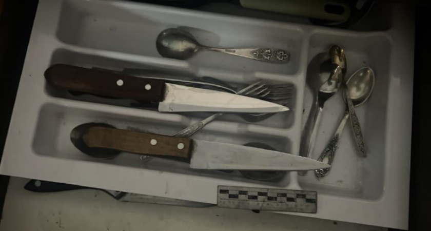 Калининградке грозит до 15 лет за убийство бывшего мужа кухонным ножом