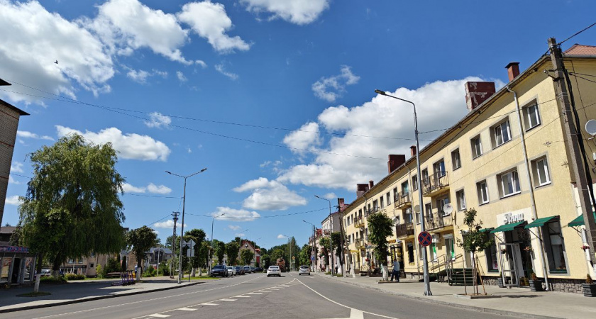 В Немане два месяца не могут поймать опасную собаку, укусившую 5-летнего ребёнка за лицо