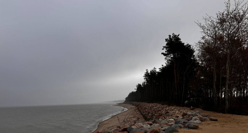 Калининградский вторник шокирует: синоптики рассказали какая погода будет удивлять 11 ноября