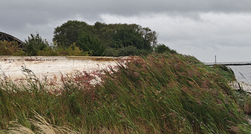 Калининградское побережье накроет сильный ветер и штормовые волны: непогода продлится несколько дней
