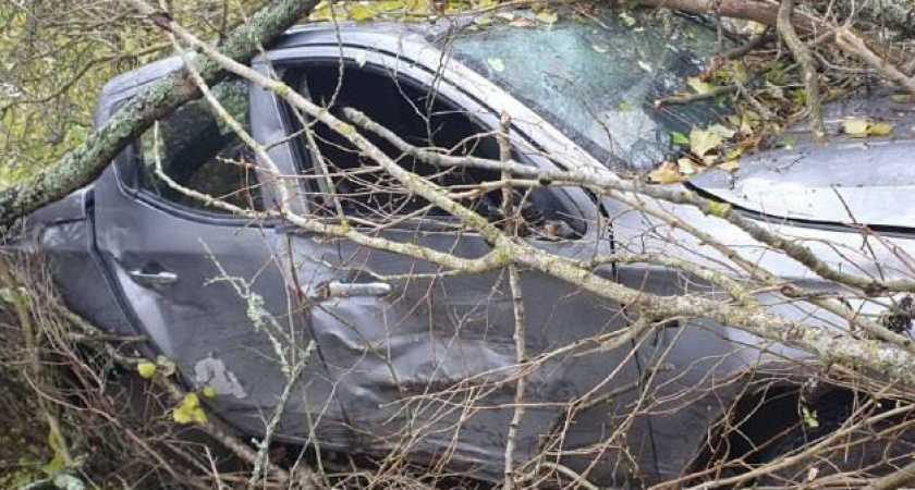 Под Правдинском мужчина угнал авто матери возлюбленной, попал в аварию и сбежал с места ДТП