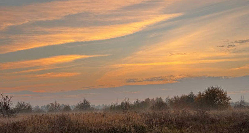 Не ленись и заботься о семье: народные приметы и запреты на 14 ноября – Кузьминки