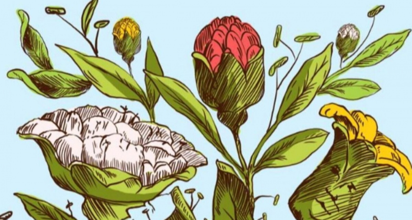 Этот букет не так прост: попробуйте за 20 секунд найти все лица и узнайте уровень своего IQ