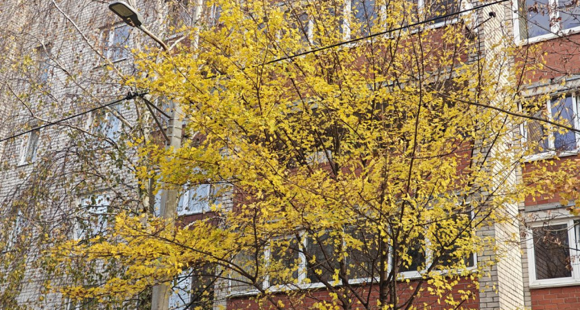 Осень показывает характер: какой будет погода в Калининграде и области в пятницу, 14 ноября