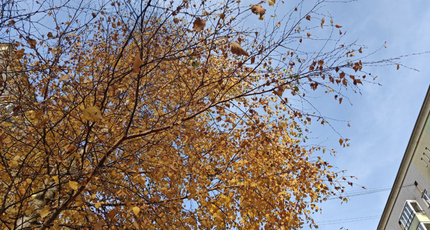 Холодный фронт над Балтикой: какой погоды ждать в Калининградской области в пятницу