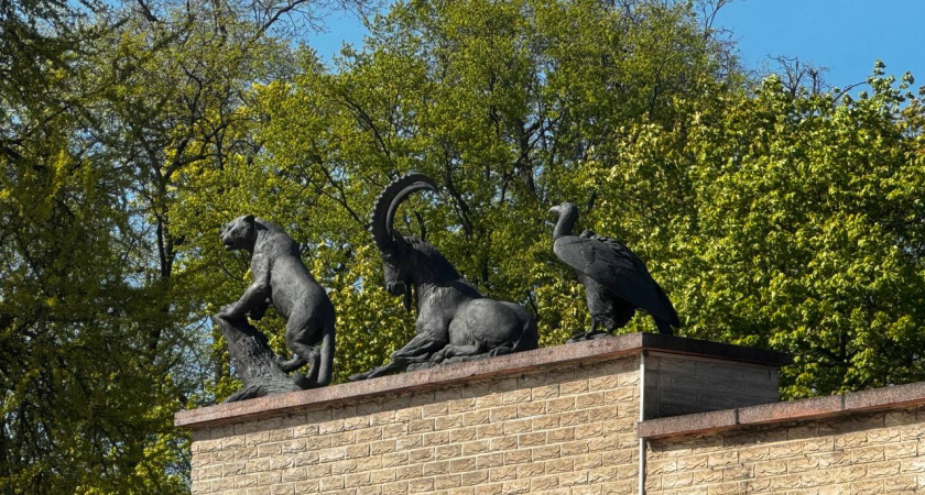 Калининградский зоопарк объявил расписание на новогодние каникулы — когда лучше приходить