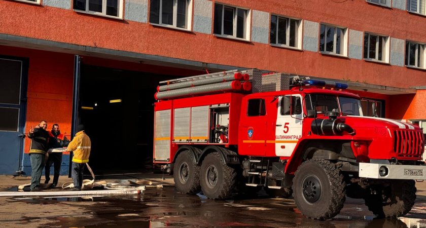 Калининградке подожгли машину у собственного дома из-за мести