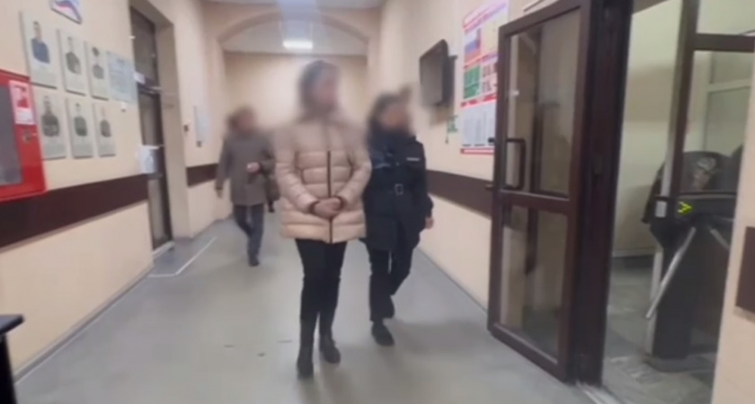 В Калининградской области раскрыта преступная схема: бизнес-леди из Петербурга подозревают в махинациях на миллиарды рублей