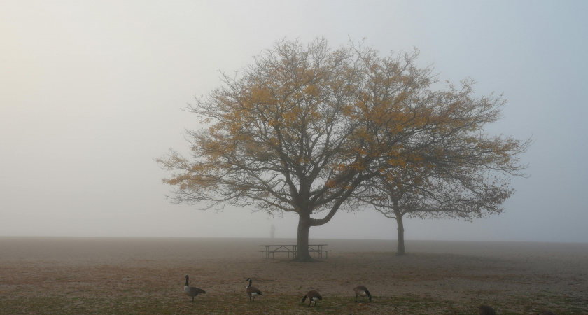 Не откладывай и слушай интуицию: народные приметы и советы на 18 ноября — День Ионы
