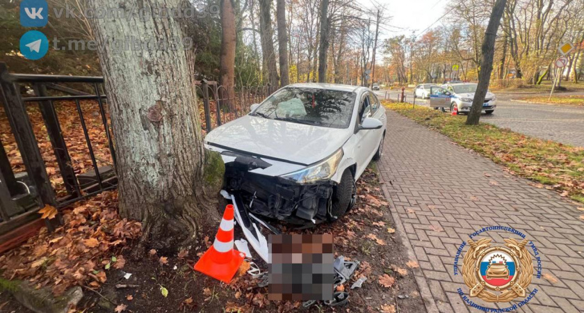 В Калининграде авто вылетело на тротуар и врезалось в дерево — что известно