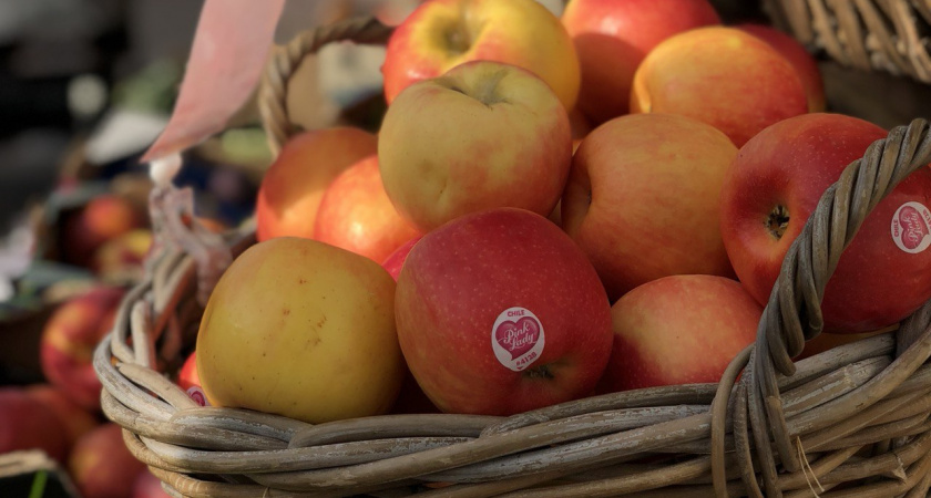 3 ошибки, из-за которых яблоки сморщиваются и гниют в подвале: так делают 98% садоводов