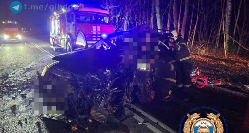 В Зеленоградском районе водитель без прав влетел в дерево — ночь закончилась госпитализацией