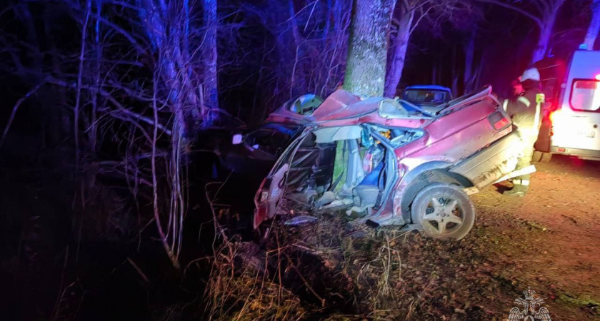 Смертельное ДТП В Гусеве: двое пассажиров погибли