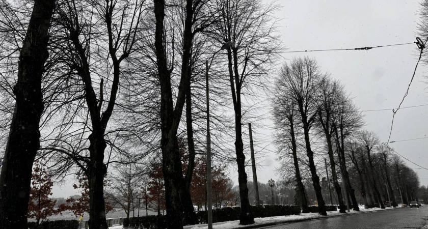 Калининградская область встречает предзимье: неделя станет холоднее нормы и принесёт мокрый снег