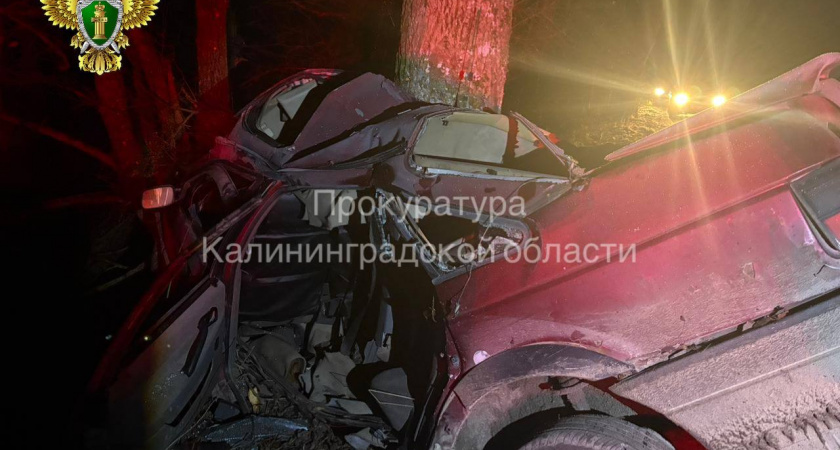 Водитель был пьян: новые подробности смертельной аварии в Гусеве
