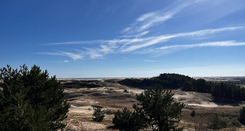 Калининградские Сокольники превратились в трассу: водители заехали на дюны и сорвали береговую защиту
