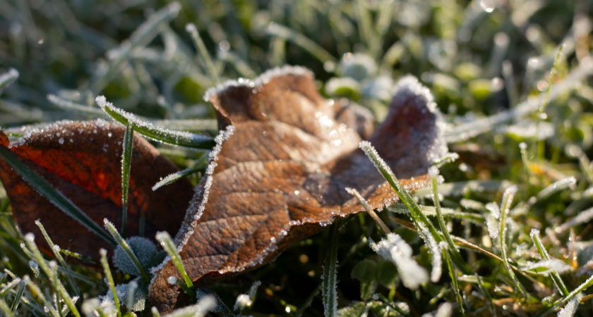 Погода устроит Калининградской области тест на выносливость: метеорологи рассказали чего ждать в понедельник, 17 ноября
