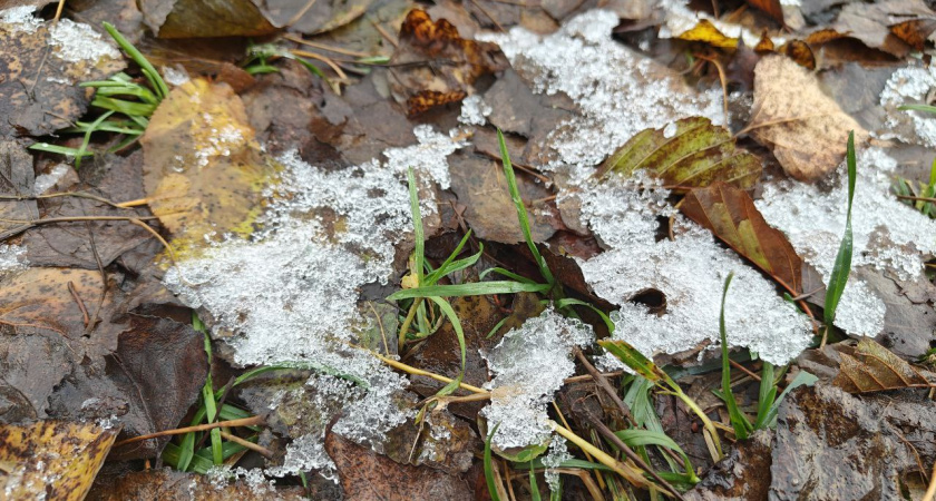Надолго ли холод в Калининграде: синоптики дали прогноз на весь ноябрь