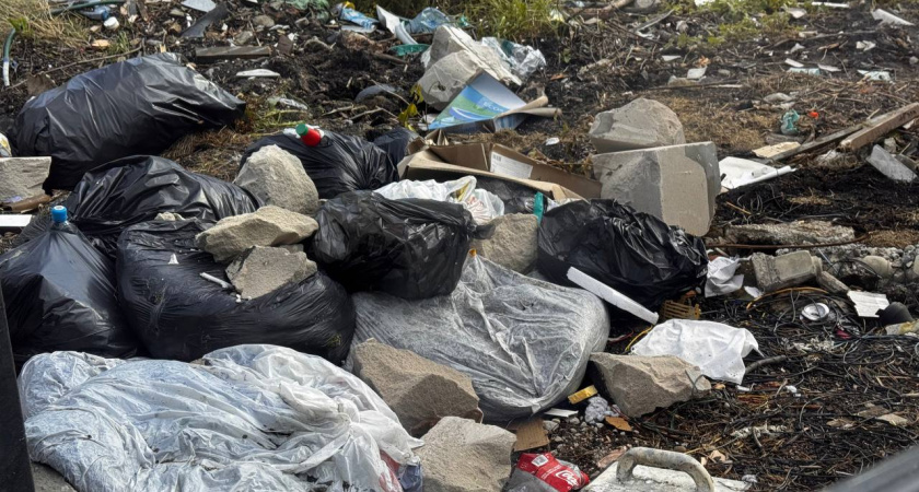 В Калининградской области ликвидировали свалку: прокуратура заставила убрать строительный мусор с земель в Зеленоградском районе