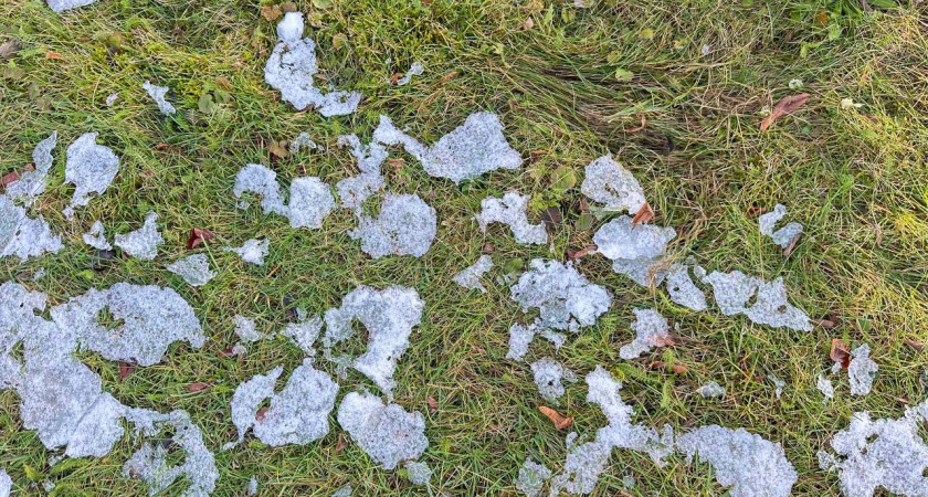 Калининград на сутки погрузится в ноябрьскую серость: детальный прогноз на среду, 19 ноября